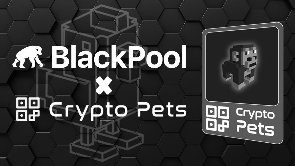 BlackPool goes 8bit style and adopts 256 CryptoPets