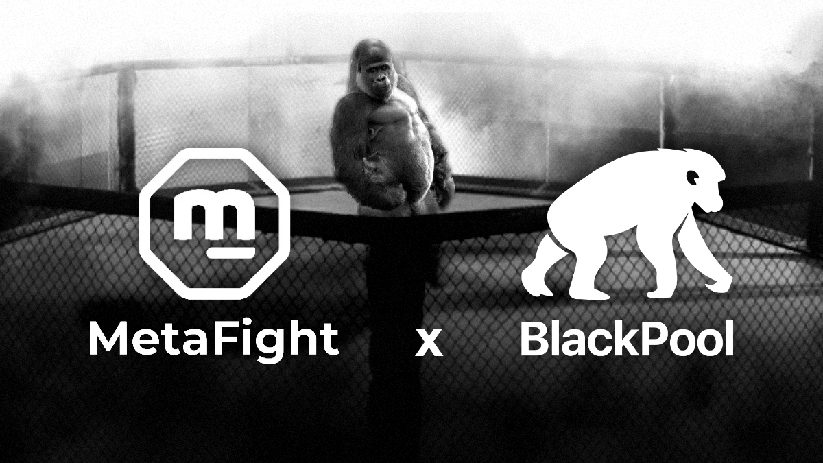 BlackPool teams up with MetaFight for an epic card-slinging battle